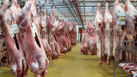 La Unión Europea aprobó la importación de carne fresca del norte argentino