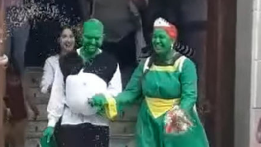 Verde que te quiero verde (y ogro) - #FlashChat