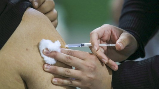 Las claves de la vacuna argentina contra el coronavirus que comenzará a probarse en humanos