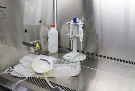 Salta sin casos de coronavirus en el último reporte