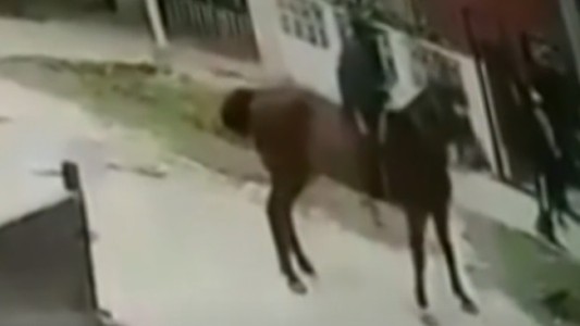 A caballo, les roban a chicos que van a la escuela