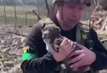 Guerra en Ucrania: a la búsqueda de los otros sobrevivientes