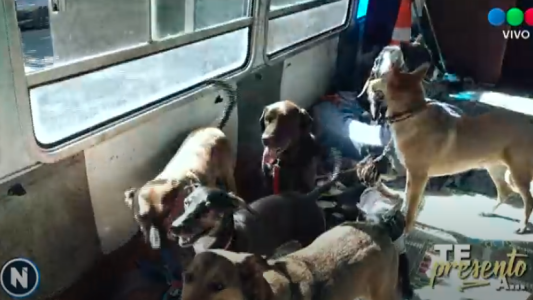 Te presento: la historia de León y su "colectivo" para perros