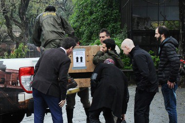 Trasladarán a 33 animales del ex Zoológico de Palermo a un refugio en Misiones