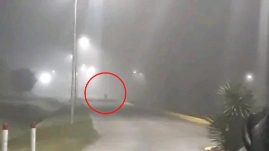 Duende o mono: el inexplicable debate universitario del Conurbano - #FlashChat