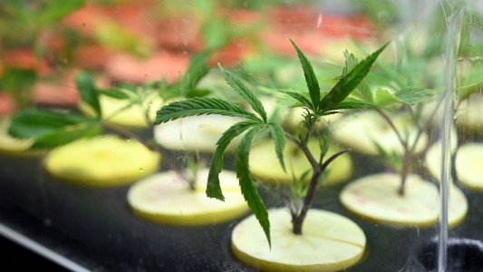 La Cámara de Diputados trabajará en una serie de leyes que impulsan el desarrollo productivo