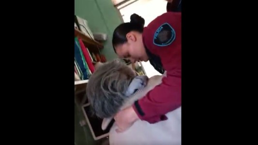 Policías salvaron a una mujer de 77 años de suicidarse