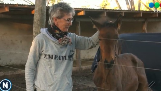 Te presento: las chicas que se dedican a rescatar caballos