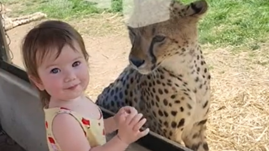 Una emoción inexplicable - #FlashChat