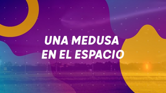 Una medusa en el espacio #BuenFlash