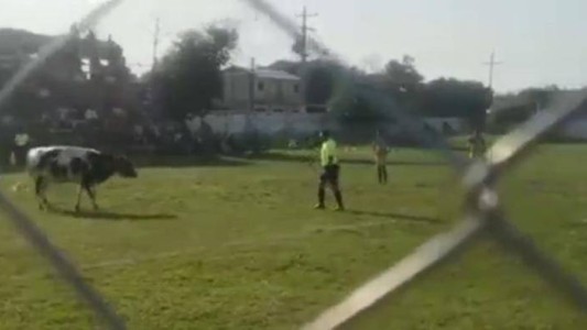 ¡Sacale tarjeta, referí! - #FlashChat