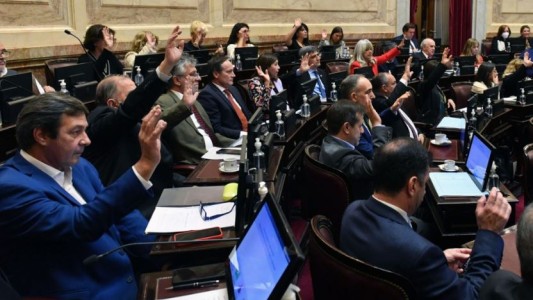 Senado: el oficialismo dio media sanción a la ley que crea un fondo para pagarle al FMI con bienes no declarados en el exterior