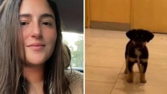 Le robó el perro a un indigente para rescatarlo y la escracharon en redes