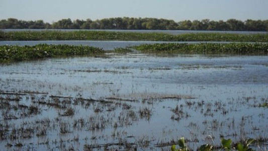 Misiones se convirtió en la primera provincia en aprobar la Ley de Humedales