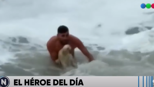 Video: se tiró al agua en Mardel para rescatar a un perro que se ahogaba