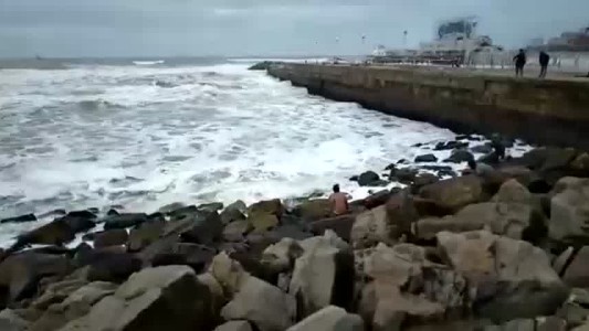 Héroe sin capa: un hombre se tiró al mar para rescatar a un perro