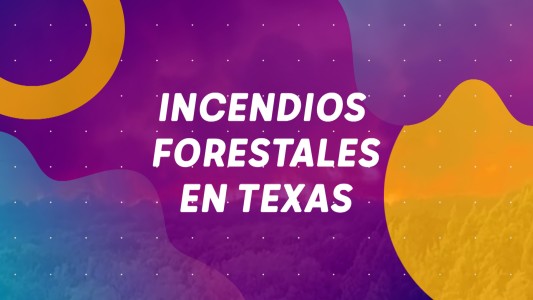 Nuevos incendios forestales en Texas #BuenFlash