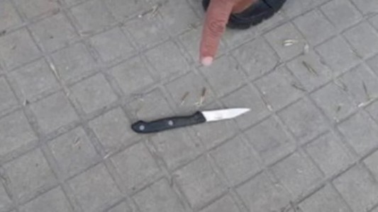Una joven de 27 años forcejeó con un motochorro, le sacó el cuchillo, lo apuñaló y lo mató