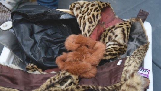 Secuestraron indumentaria realizada con cuero de animales en peligro de extinción