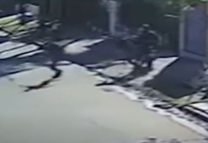 Video: Estaba llamando a la ambulancia cuando le robaron el celular