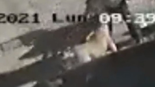 Así fue el ataque de tres perros que mutilaron a un hombre y por el que su dueño irá a prisión - #REC