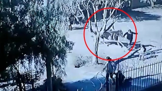 Un caballo montado por un nene de 12 años atropelló a dos mujeres: una está grave