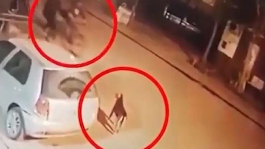 Paseaba en bicicleta, un perro le ladró y lo mató de un tiro - #REC