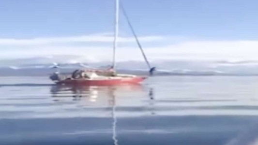 Denunciarán penalmente a los tripulantes de un velero que embistió a una ballena