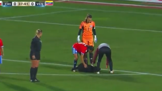 El perro que enterneció el amistoso entre Chile y Venezuela