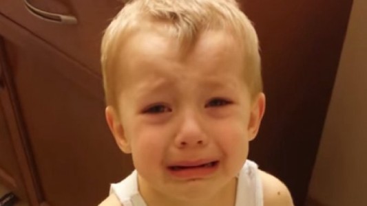 Video conmovedor: el nene que le tiene que decir adiós a su mascota