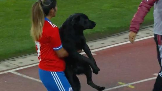 Un jugador de toda la cancha - #FlashChat