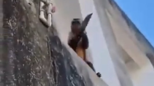 Video: un mono armado les robó galletitas, jabón y ropa