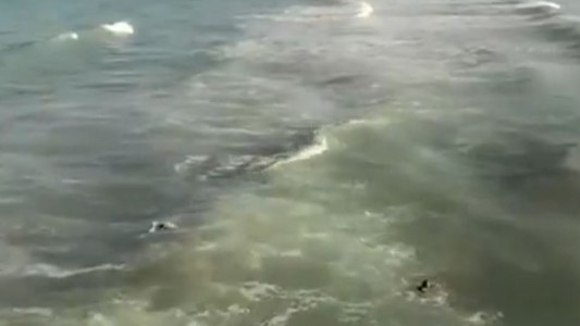 Un dron salva a un niño de 14 años de morir ahogado en el mar