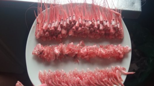 "Devolvió el plato así": comensal sorprendió al restaurante tras pedir camarones