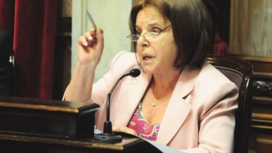 Chiche Duhalde sobre el Salario Básico Universal: "Nadie se atreve a decir que es inaplicable"