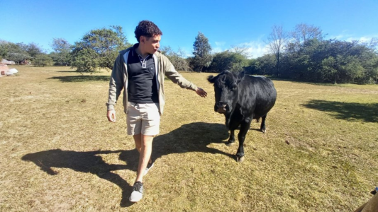 Todos queremos a Clota, la perro-vaca - #FlashChat