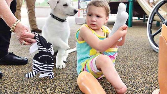 Una nena amputada adoptó a un cachorro sin una pata