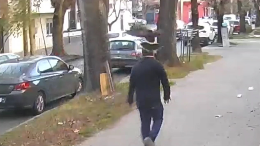 Aguilucho traicionero - #FlashChat