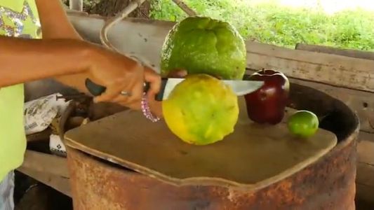 Los limones más grandes del mundo son mexicanos