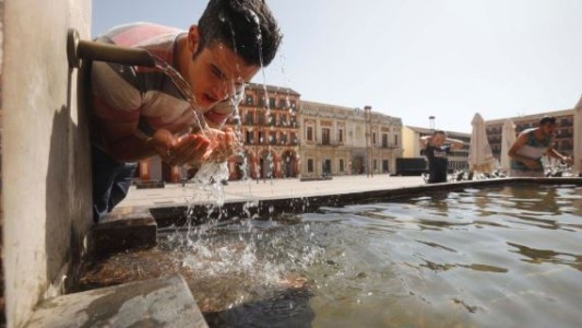 Ola de calor en España: en tres días murieron 84 personas