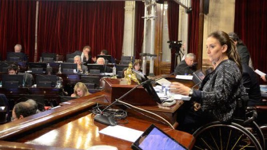 "Quedó claro que no hubo ningún delito", afirmó Michetti tras ser sobreseída