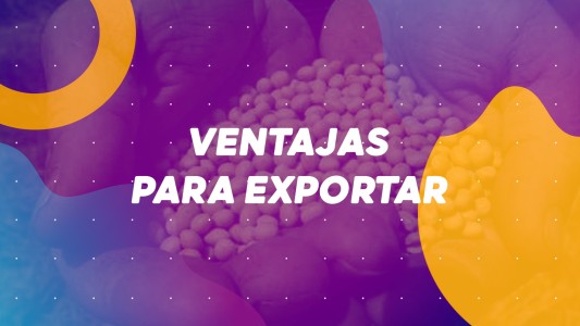 Ventajas para exportar #BuenFlash
