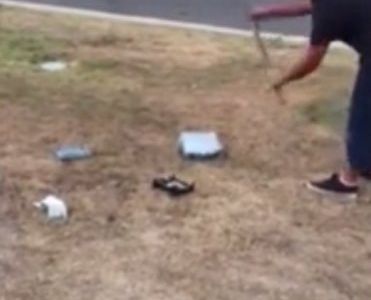 Se sacó malas notas en el colegio y su padre lo obligó a destruir la Xbox