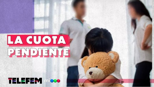 Solo 1 de cada 4 madres en Argentina reciben la cuota alimentaria #Telefem