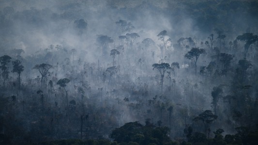 Los incendios en la Amazonia brasileña aumentaron 8% en julio: hubo más de 5.000 focos en la región