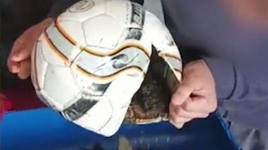 Video: entraron droga a una cárcel adentro de una pelota