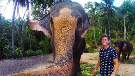 "Elphie", la foto que se sacó un elefante y se viralizó en las redes sociales
