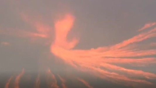 Un gran tornado de fuego sembró pánico en Los Ángeles