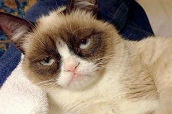 Quedó ciega después de que su gato le lamió el ojo