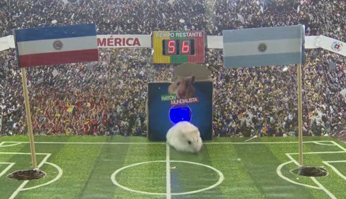 Volvió el #RatónMundialista : ¿Gana Argentina o Paraguay?